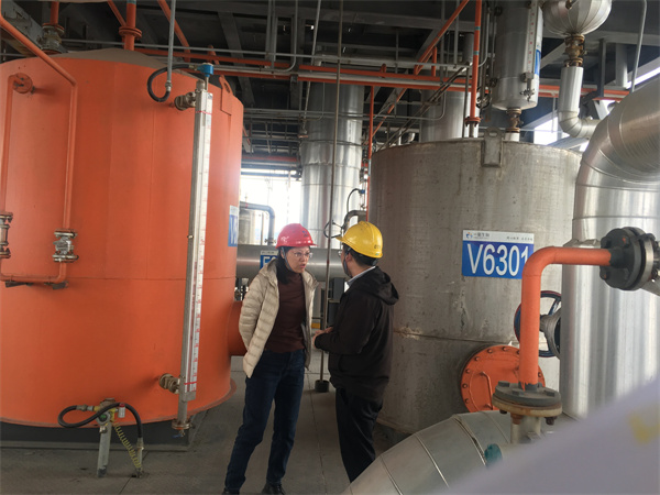 山东一诺生物质材料有限公司安全现状评价报告