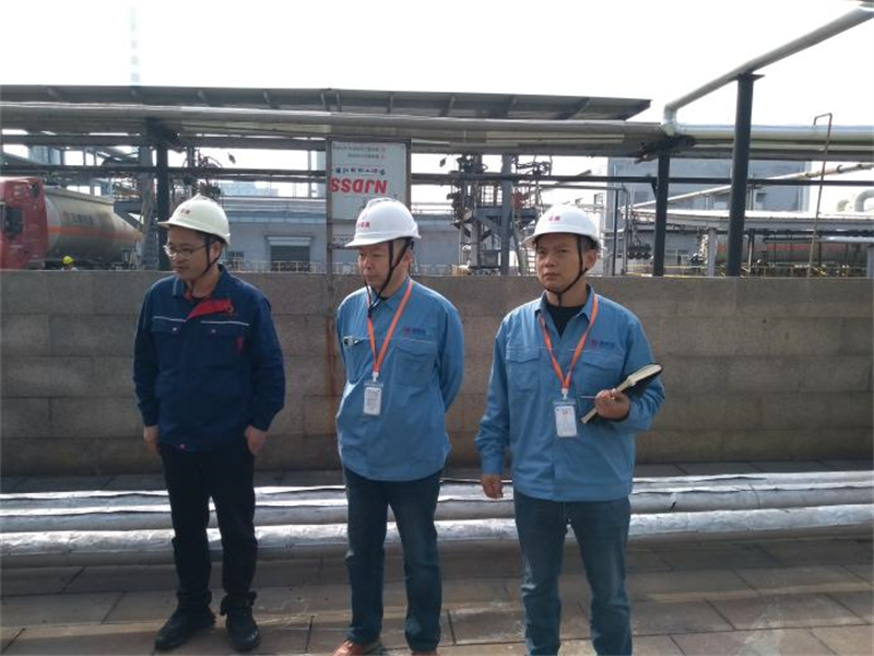 山东雷奥新能源有限公司安全现状评价报告